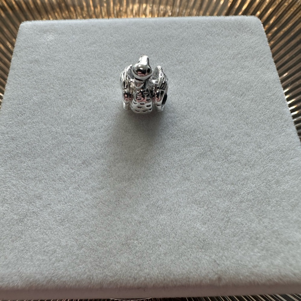 Pandora ugly duckling charm